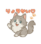 毎日使える！ノルウェージャン猫スタンプ（個別スタンプ：3）