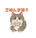 毎日使える！ノルウェージャン猫スタンプ（個別スタンプ：5）