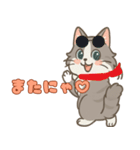 毎日使える！ノルウェージャン猫スタンプ（個別スタンプ：8）