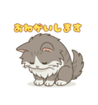 毎日使える！ノルウェージャン猫スタンプ（個別スタンプ：12）