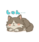 毎日使える！ノルウェージャン猫スタンプ（個別スタンプ：16）