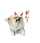 あざと犬ぴの（個別スタンプ：12）