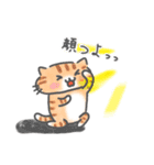推し活ねこの推スタンプ（個別スタンプ：13）