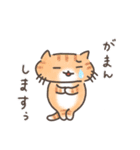 推し活ねこの推スタンプ（個別スタンプ：19）