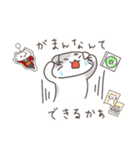推し活ねこの推スタンプ（個別スタンプ：20）