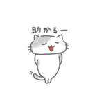 推し活ねこの推スタンプ（個別スタンプ：21）