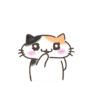 推し活ねこの推スタンプ（個別スタンプ：22）