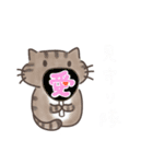 推し活ねこの推スタンプ（個別スタンプ：29）