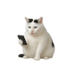 白い猫はとても太っています （NT）（個別スタンプ：1）