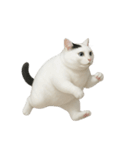 白い猫はとても太っています （NT）（個別スタンプ：2）