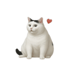 白い猫はとても太っています （NT）（個別スタンプ：3）