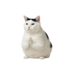 白い猫はとても太っています （NT）（個別スタンプ：5）