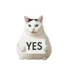 白い猫はとても太っています （NT）（個別スタンプ：6）