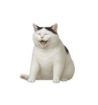 白い猫はとても太っています （NT）（個別スタンプ：9）
