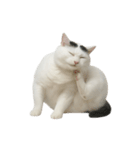 白い猫はとても太っています （NT）（個別スタンプ：11）