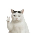 白い猫はとても太っています （NT）（個別スタンプ：16）
