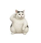 白い猫はとても太っています （NT）（個別スタンプ：18）