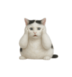白い猫はとても太っています （NT）（個別スタンプ：26）