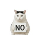 白い猫はとても太っています （NT）（個別スタンプ：27）