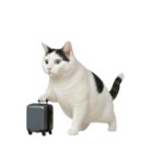 白い猫はとても太っています （NT）（個別スタンプ：29）