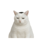白い猫はとても太っています （NT）（個別スタンプ：30）