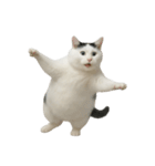 白い猫はとても太っています （NT）（個別スタンプ：31）