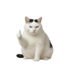 白い猫はとても太っています （NT）（個別スタンプ：34）