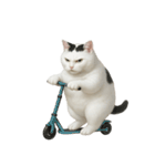 白い猫はとても太っています （NT）（個別スタンプ：35）