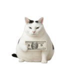白い猫はとても太っています （NT）（個別スタンプ：36）