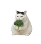白い猫はとても太っています （NT）（個別スタンプ：37）