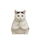 白い猫はとても太っています （NT）（個別スタンプ：39）