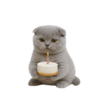スコティッシュフォールドの子猫 （NT）（個別スタンプ：2）