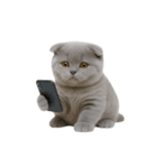 スコティッシュフォールドの子猫 （NT）（個別スタンプ：9）