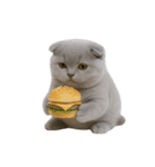 スコティッシュフォールドの子猫 （NT）（個別スタンプ：23）