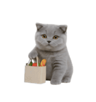 スコティッシュフォールドの子猫 （NT）（個別スタンプ：26）