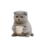 スコティッシュフォールドの子猫 （NT）（個別スタンプ：28）