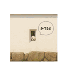 なぎちゃんイラストスタンプ（個別スタンプ：20）