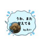 なぎちゃんイラストスタンプ（個別スタンプ：24）