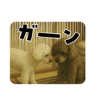 なぎちゃんイラストスタンプ（個別スタンプ：35）