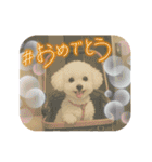 なぎちゃんイラストスタンプ（個別スタンプ：40）