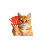 動く！リアル猫の日常2（繁体字）（個別スタンプ：4）