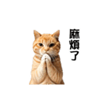 動く！リアル猫の日常2（繁体字）（個別スタンプ：12）