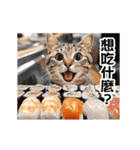 動く！リアル猫の日常2（繁体字）（個別スタンプ：23）
