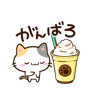 小さい三毛猫☆食事・飲み物（個別スタンプ：12）