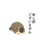 みんなの土下座（個別スタンプ：3）