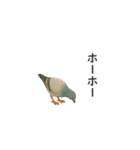みんなの土下座（個別スタンプ：12）