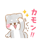 誘い誘われ言葉❤️いやしばいぬ❤️黒柴（個別スタンプ：24）