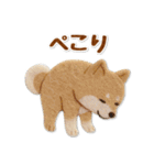 グルメわんこの下手かわフェルトスタンプ（個別スタンプ：19）