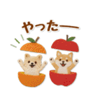 グルメわんこの下手かわフェルトスタンプ（個別スタンプ：24）