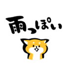ふでしば【雨の日】柴犬（個別スタンプ：1）